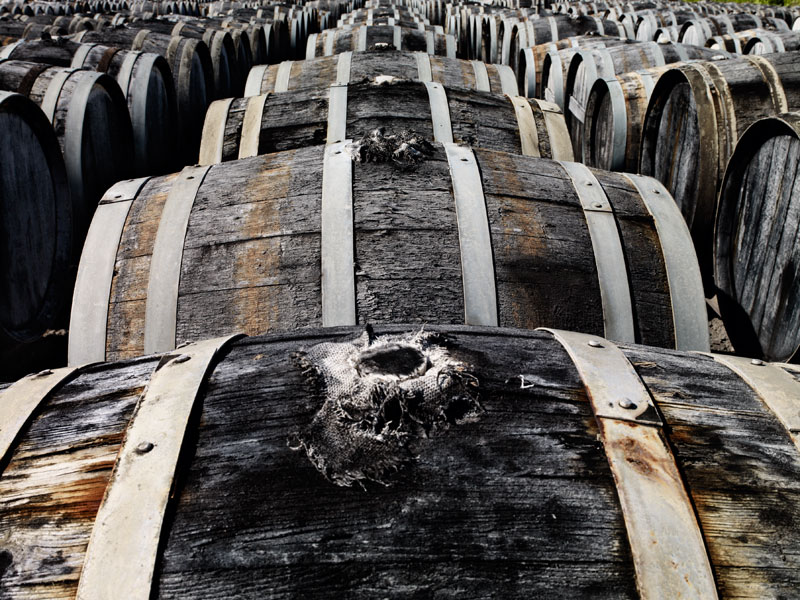 Robust wooden barrels, stacked under the open sky, with the soft shade of nearby trees dancing playfully across the surface, bear witness to the traditional winemaking process.